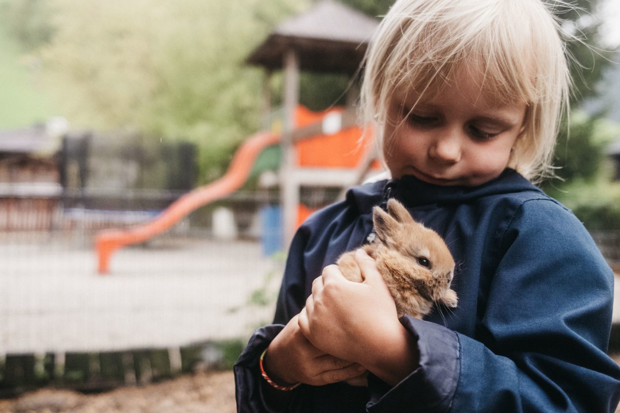 Kind streichelt Babyhasen